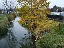 Jasiołka w Jaśle, widok z mostu przy ul. Kazimierza Wielkiego