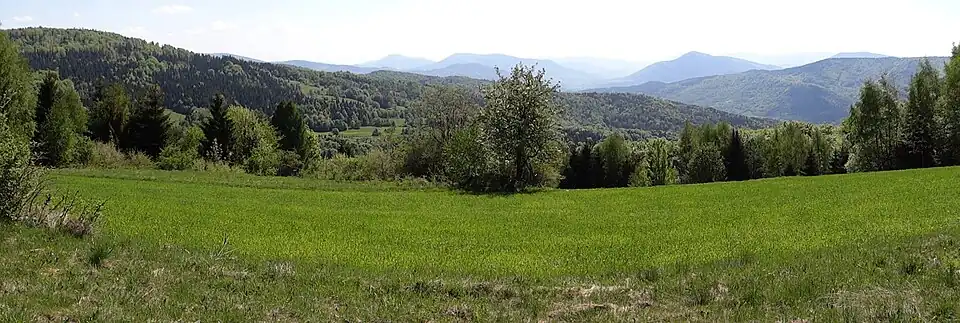 Panorama widokowa z Jaworzyńskiego Wierchu