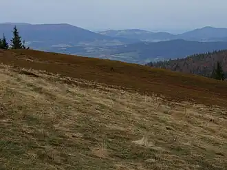 Widok w kierunku północnym na Beskid Wyspowy