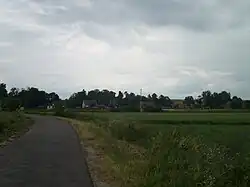 Droga w Jędrzejewie