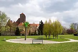 Żywy Pomnik pt. ARENA Jerzego Beresia po corocznej akcji odmalowaniu korzeni na zielono (wiosna 2019).