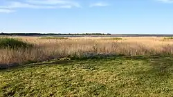 Jezioro Wicko w Jezierzanach