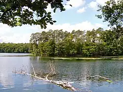 Jeziora Suche i Lubieszewko (Portki)