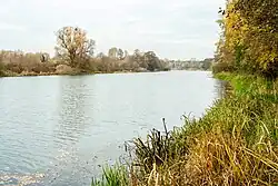 Jeziorko Łacha w kierunku północnym.