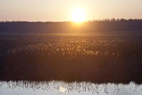 Jezioro w rezerwacie Piskory