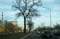 Wylot na pl. Centralny,po lewej os. Centrum D