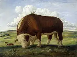 Ajax, 193–1937, w zbiorach Smithsonian