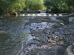 Łososina w Jurkowie