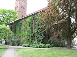 Pokryta bluszczem południowa elewacja kościoła