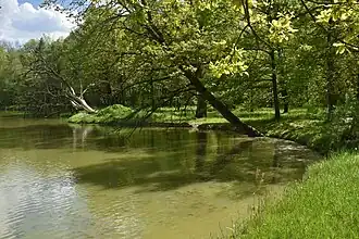 W parku urządzono zbiornik wodny