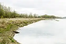 Brzeg tuż na południe od tego miejsca