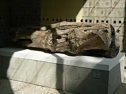 Herman de Vries, Le témoin (1991)