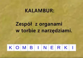 Rozwiązaniem dla części „zespół z organami” jest KOMBI (zespół) oraz NERKI (organy), zaś część „w torbie z narzędziami” odnosi się do całego rozwiązania KOMBINERKI.