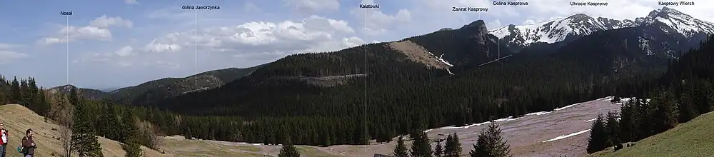 Widok na Dolinę Kasprową z Kalatówek