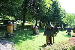 Muzeum pszczelarstwa (skansen)