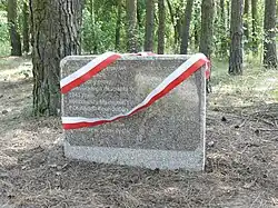 Kamień upamiętniający maciejowickich Żydów odsłonięty w czerwcu 2019 na cmentarzu żydowskim w Maciejowicach.