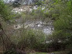 Kamieniołom w Grodzisku