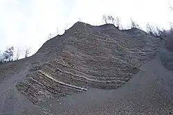 Jedna ze ścian odsłaniających flisz