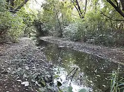 Kanał Sielecki płynący przez tereny zielone Mokotowa, widok na południowy wschód, w okolicy ulicy Beethovena