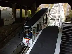 Wagon kolei linowo-terenowej Diana