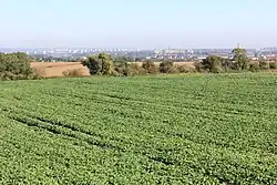 Okolice Karwowa (w tle Szczecin)