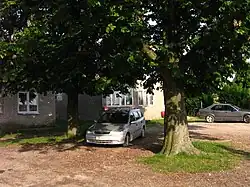 Blisko 100-letnie kasztanowce w centrum wsi