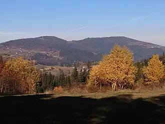 Widok na Kiczorę i Wielki Wierch z Tokarki