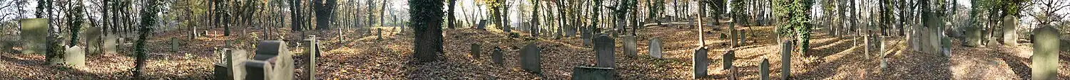 Panoramiczny widok na cmentarz żydowski w Skwierzynie (październik 2015)