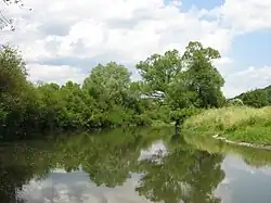 Dolina Târnavy Mică między Chibed i Ghindari