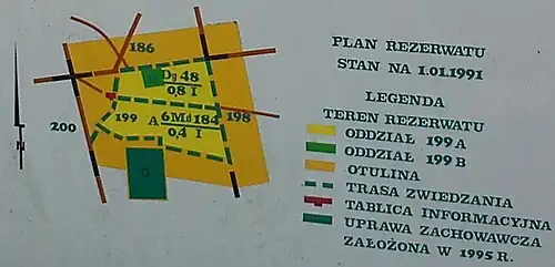 Plan Klasztorne Modrzewie koło Dąbrówki Kościelnej