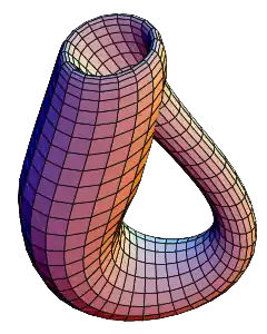 butelka Kleina(genus 2)