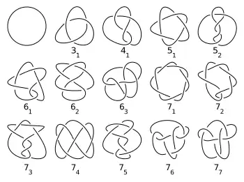 A collection of knot diagrams in the plane.