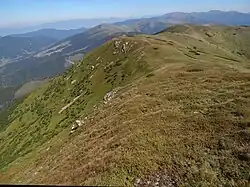 Widok z Veľkiej Chochuli