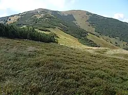 Košarisko, widok od północnego wschodu