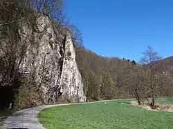 Koźniowa, widok z południa