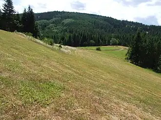 Kobylica- widok z podnóży Kiczorki