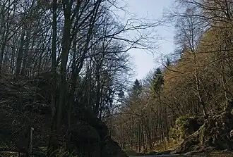 Wjazd do wąwozu od północy