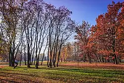 Kompleks rekreacyjny w porcie