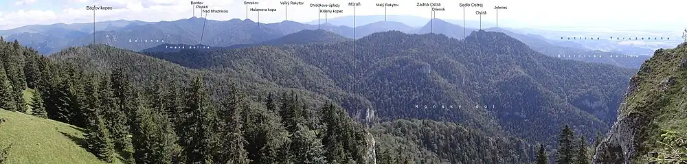 Widok ze zboczy szczytu Tlstá na Wielką Fatrę