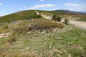 Kopa Skrzyczeńska (2023 r.)