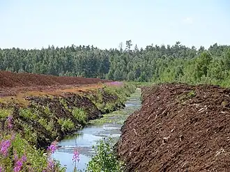 Jeden z wielu rowów odwadniających teren kopalni Karaska