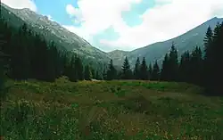 Mała Bielska Kopa pomiędzy Niżnią i Pośrednią Przełęczą pod Kopą