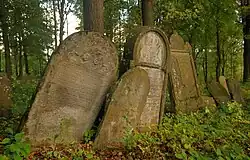 Zabytkowy cmentarz żydowski