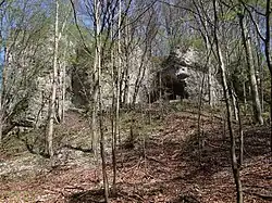 Skała Koziarnia z wylotem jaskini