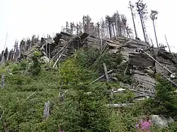 Wychodnia na wschodnich stokach