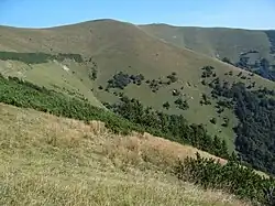 Widok z grzbietu Malá Krížna