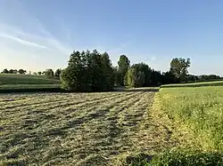 Krajobraz w Czernikowie Opatowskim