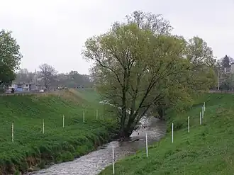 Rudawa przy ul. Emaus w Krakowie