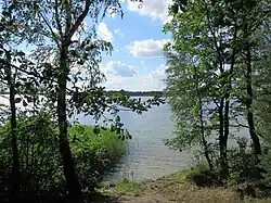 Drzewa tuż nad lustrem wody