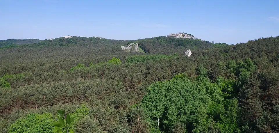 Fragment pasma Skał Kroczyckich